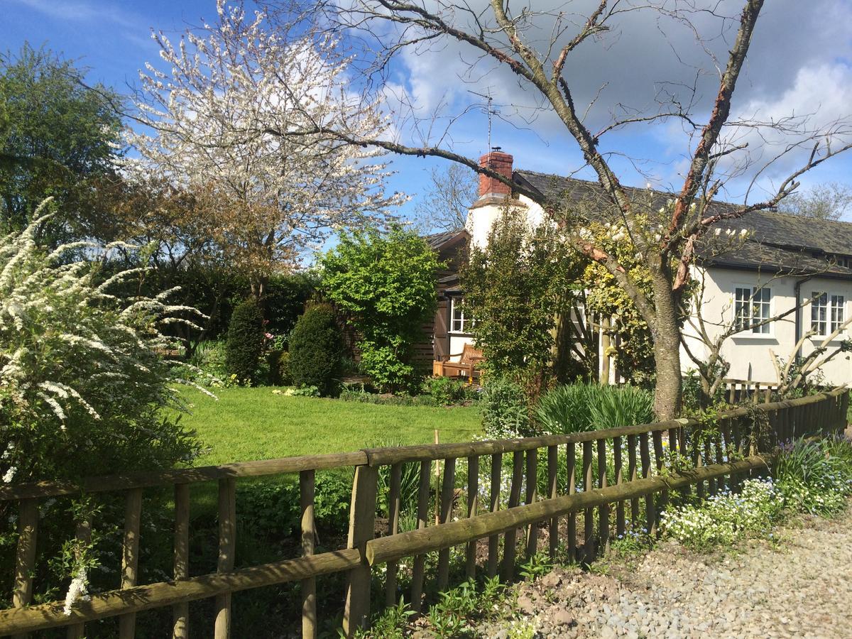 Yew Tree Cottage Leominster Ngoại thất bức ảnh
