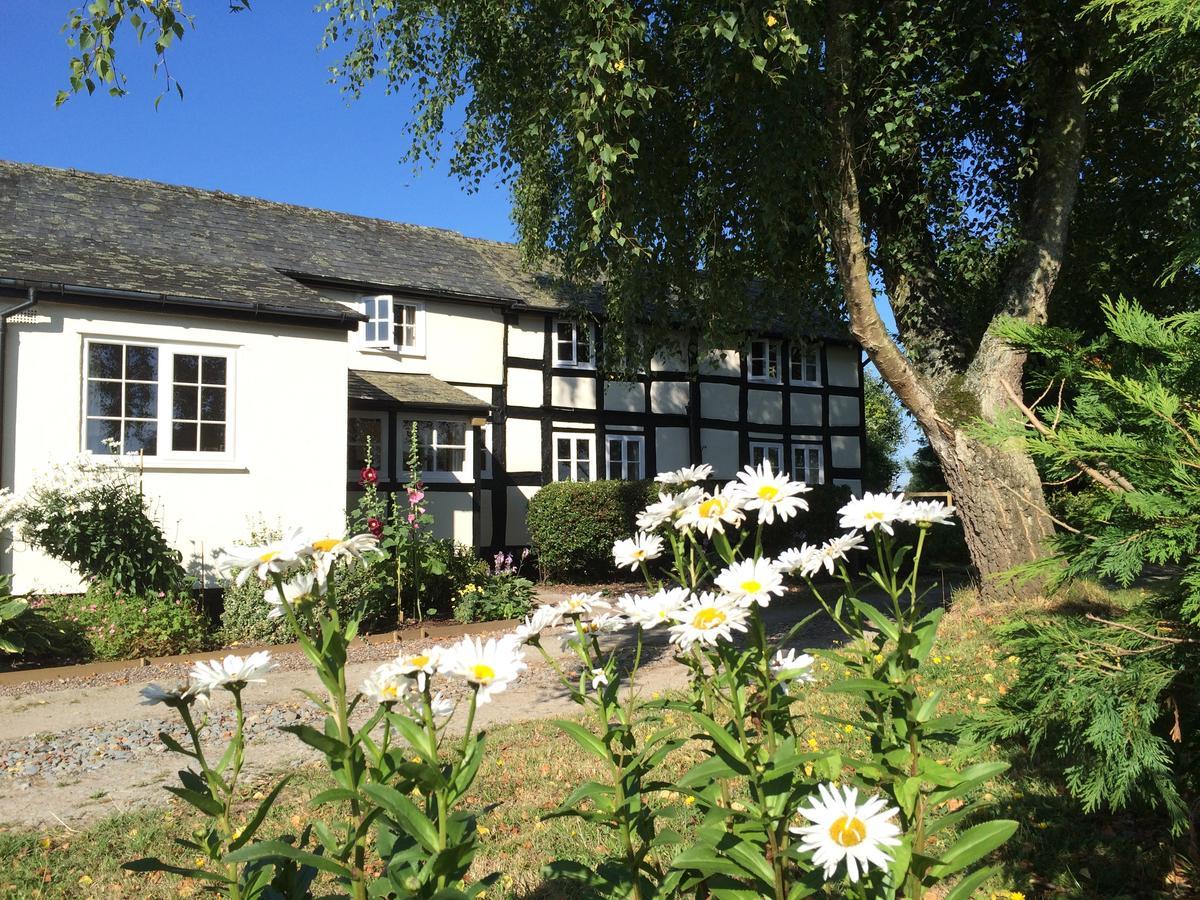 Yew Tree Cottage Leominster Ngoại thất bức ảnh